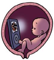 Womb Potato Womb Potato