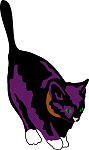 Pretty Black Cat Pretty Black Cat