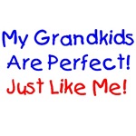 Grandma T shirts, Grandpa Shirts, Grandkids, Tees