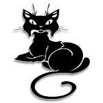 Cute Black Cat