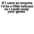 DNA helicase 