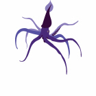 Squid