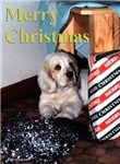 Christmas!