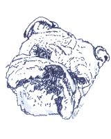 Bulldog Bulldog