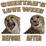 Harold & Kumar - Cheetah's Love Weed Harold & Kumar - Cheetah's Love Weed