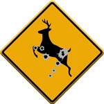 Deer Crossing Deer Crossing