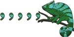 Comma Chameleon Comma Chameleon