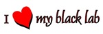 Black Labrador