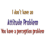 Attitude Problem Attitude Problem