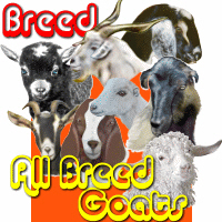 Goat Breeds Goat Breeds