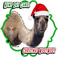 Hump Day Camel Christmas Designs Hump Day Camel Christmas Designs