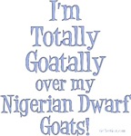 Totally Goatally Nigerian Goat Totally Goatally Nigerian Goat