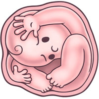 Cwowded Womb Cwowded Womb