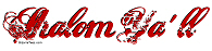 Shalom Ya'll T-Shirts Shalom Ya'll T-Shirts