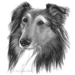 Herding/Pastoral Dogs Herding/Pastoral Dogs
