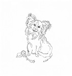 Playful Papillion dog design Playful Papillion dog design