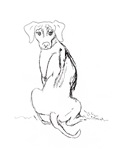 Rhodesian Ridgeback dog design Rhodesian Ridgeback dog design