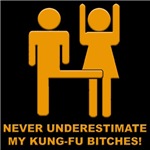 Never Underestimate My Kung-Fu Never Underestimate My Kung-Fu