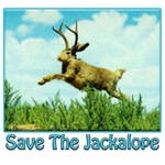 Save The Jackalope Save The Jackalope