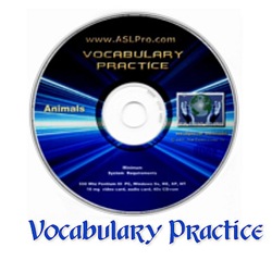 Vocabulary Practice Vocabulary Practice