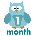 Custom Owl Age Custom Owl Age