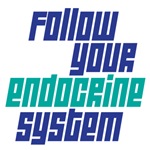 follow your endocrine system follow your endocrine system