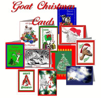Goat Christmas Cards Goat Christmas Cards