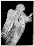 White Angel White Angel