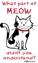 Meow Meow