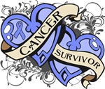 Stomach Cancer Survivor Double Heart Shirts Stomach Cancer Survivor Double Heart Shirts
