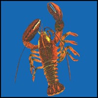 LOBSTER T-SHIRTS & GIFTS LOBSTER T-SHIRTS & GIFTS
