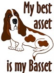 Basset Hound   Best Asset