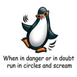 Screaming Penguin Screaming Penguin