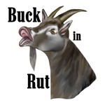 Buck in Rut Buck in Rut