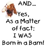 Goat Born in a Barn Goat Born in a Barn