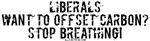 Carbon Offsets Carbon Offsets