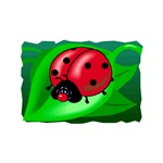 Ladybug Ladybug