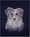 Australian Shepherd Australian Shepherd
