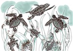 Sea Turtles Sea Turtles