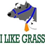 I Like Grass I Like Grass