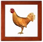 Chickens Chickens