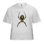 Spider - Kids and Infants Spider - Kids and Infants