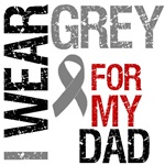 I Wear Grey (Dad) Brain Cancer Shirts I Wear Grey (Dad) Brain Cancer Shirts