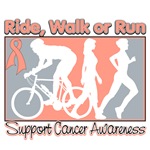 Endometrial Cancer RideWalkRun Endometrial Cancer RideWalkRun