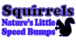 Squirrels Nature's Little Speed Bumps Squirrels Nature's Little Speed Bumps