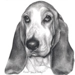 Hounds Hounds