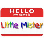 Little Mister Little Mister