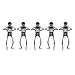 Washboard Skeletons Washboard Skeletons