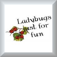 Ladybug T-shirts and Gifts Ladybug T-shirts and Gifts