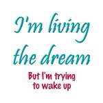 Living The Dream Living The Dream